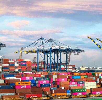 Pushpak Global Shipping About4